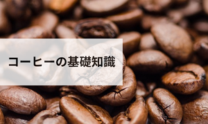 コーヒーの基礎知識